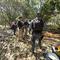 31 bodies pulled from hidden graves amid cartel turf war