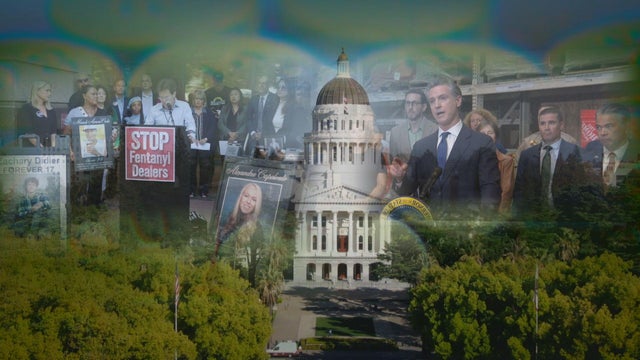 cap-banner.jpg 