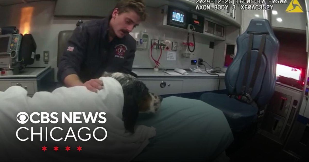 Firefighters rescue dog from icy pond in Rhode Island on Christmas Eve ...