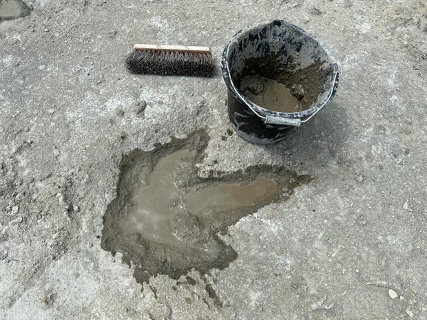 Pegadas de dinossauros da Grã-Bretanha