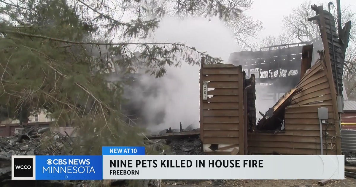 9 pets killed in house fire - CBS Minnesota