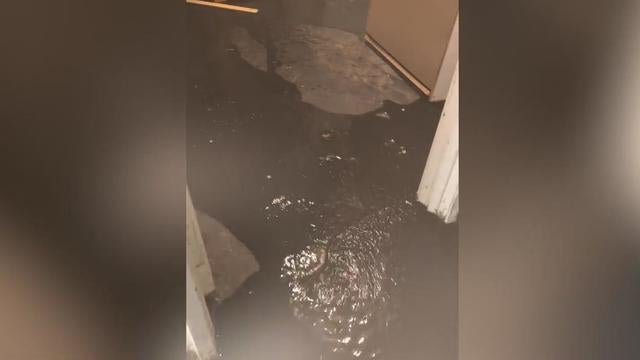 Oakland gym flooding 