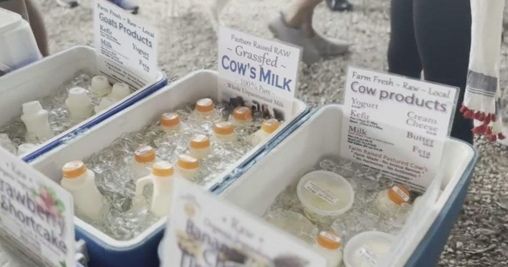 Raw milk craze is intensifying in South Florida despite warnings of potential danger Raw milk craze is intensifying in South Florida despite warnings of potential danger