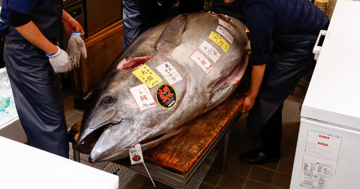 Giant bluefin tuna the size of a motorcycle sells for $1.3 million in Tokyo