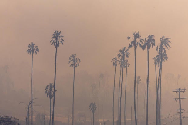 fire in palisades and malibu 