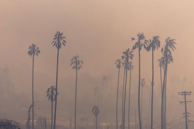 fire in palisades and malibu