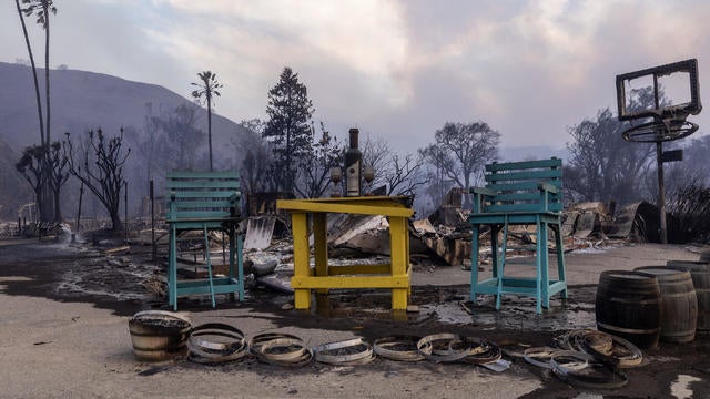 fire in palisades and malibu 