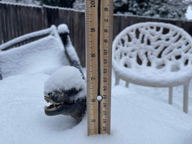 snow-day-in-north-texas-60.jpg