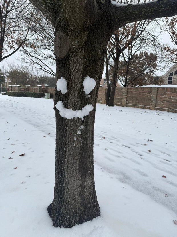 snow-day-in-north-texas-9.jpg