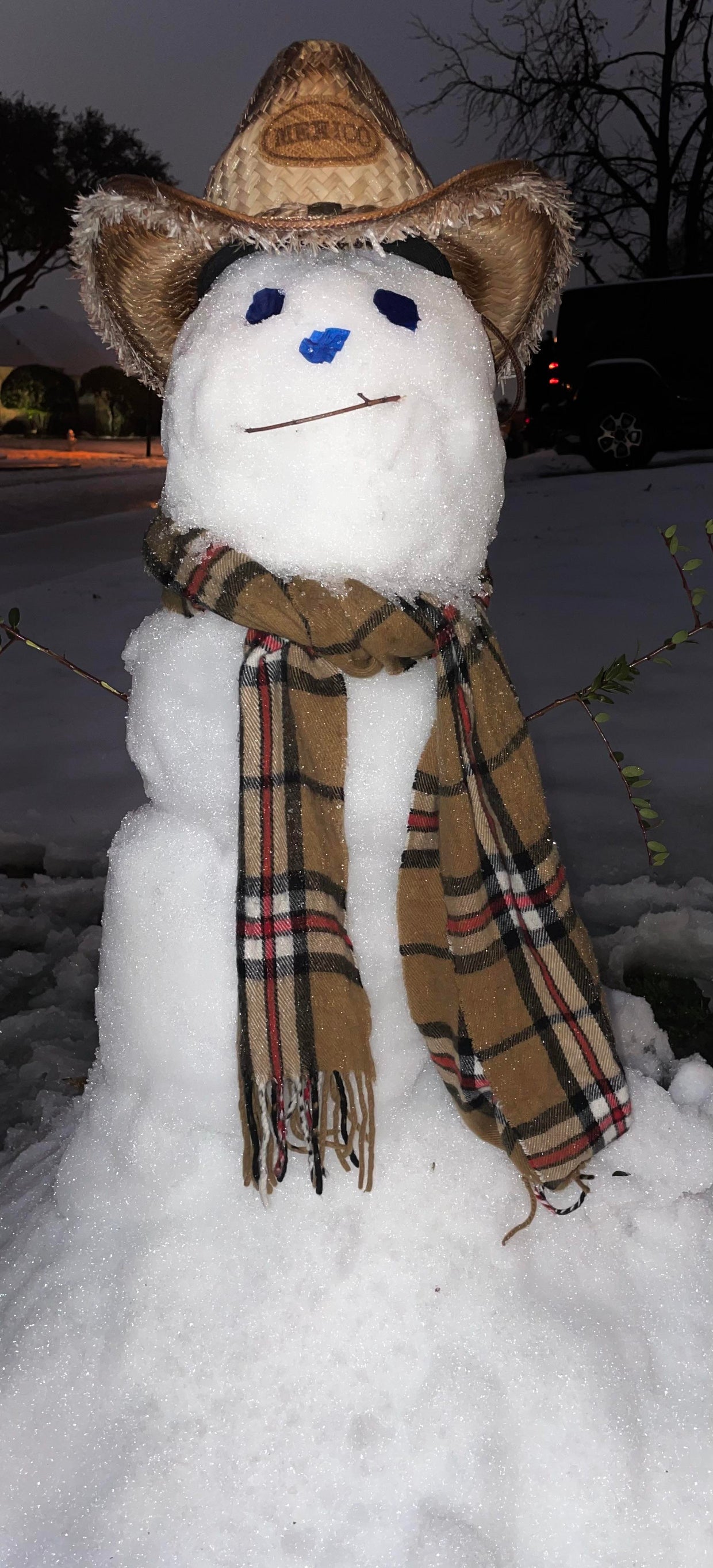 snow-day-in-north-texas-61.jpg 