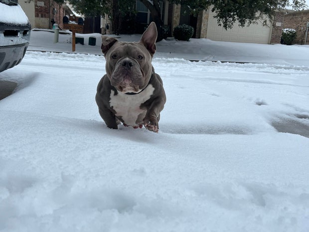 snow-day-in-north-texas-66.jpg