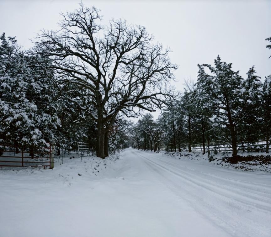 snow-day-in-north-texas-39.jpg 