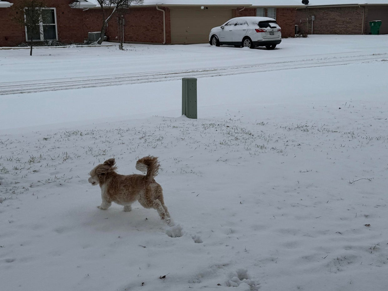 snow-day-in-north-texas-55.jpg