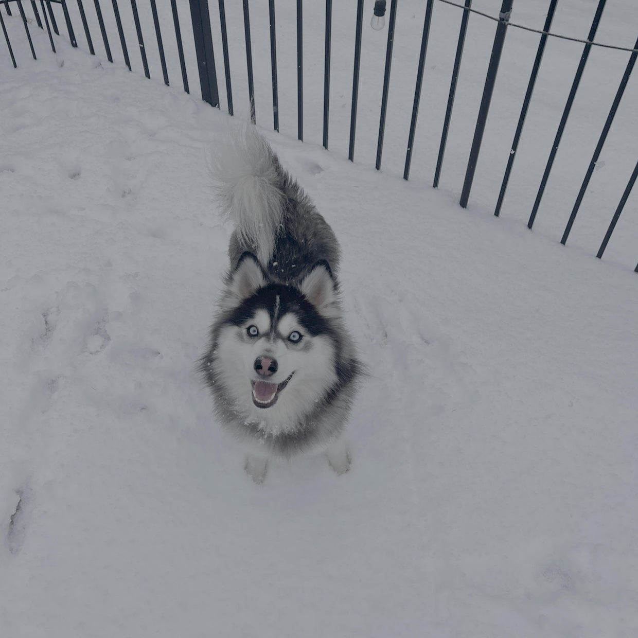 snow-day-in-north-texas-15.jpg 