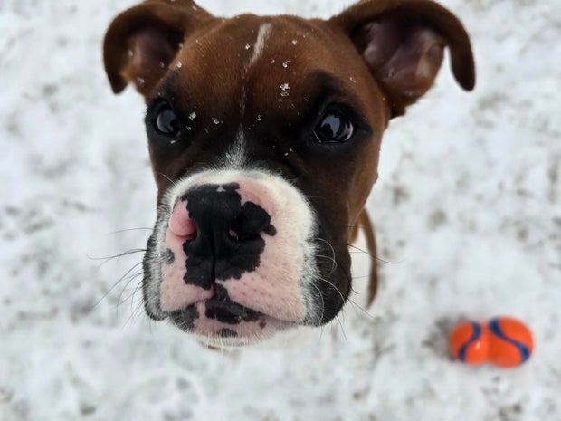 snow-day-in-north-texas-4.jpg