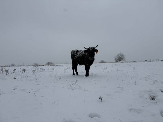 snow-day-in-north-texas-31.jpg