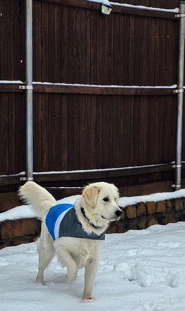 snow-day-in-north-texas-13.jpg