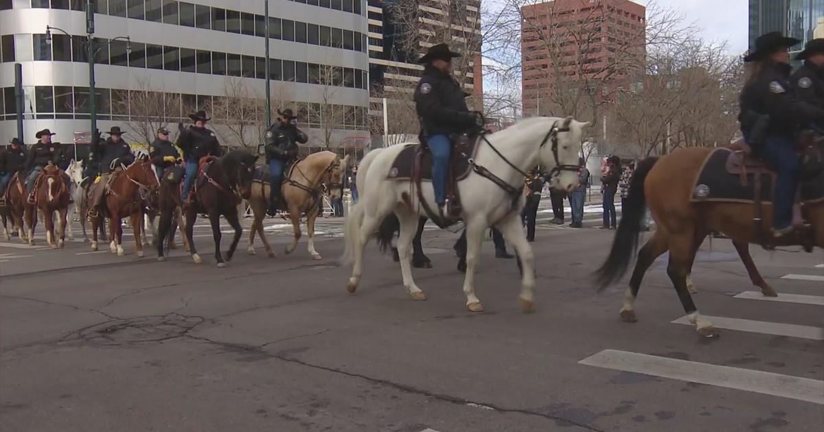 National Western Stock Show Parade takes place in downtown Denver