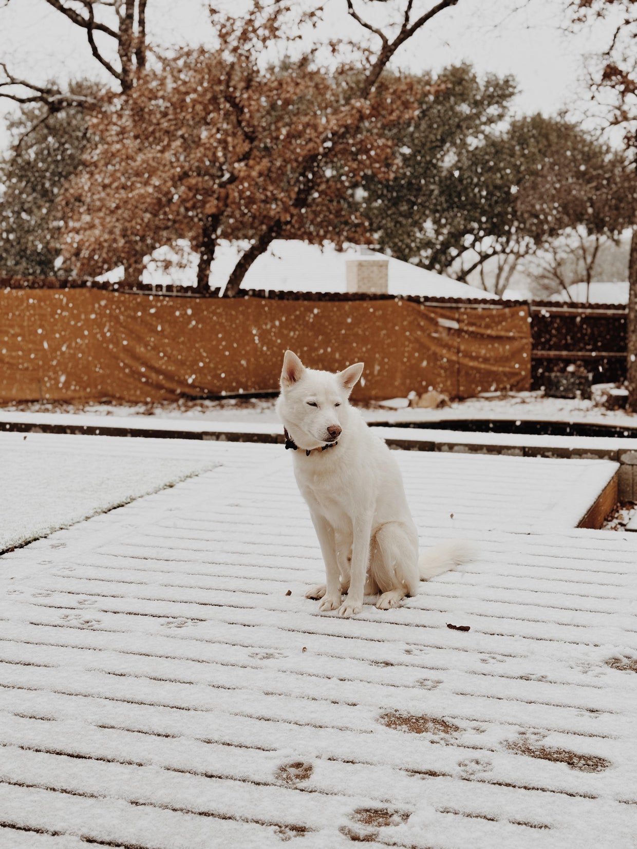 snow-day-in-north-texas-105.jpg 