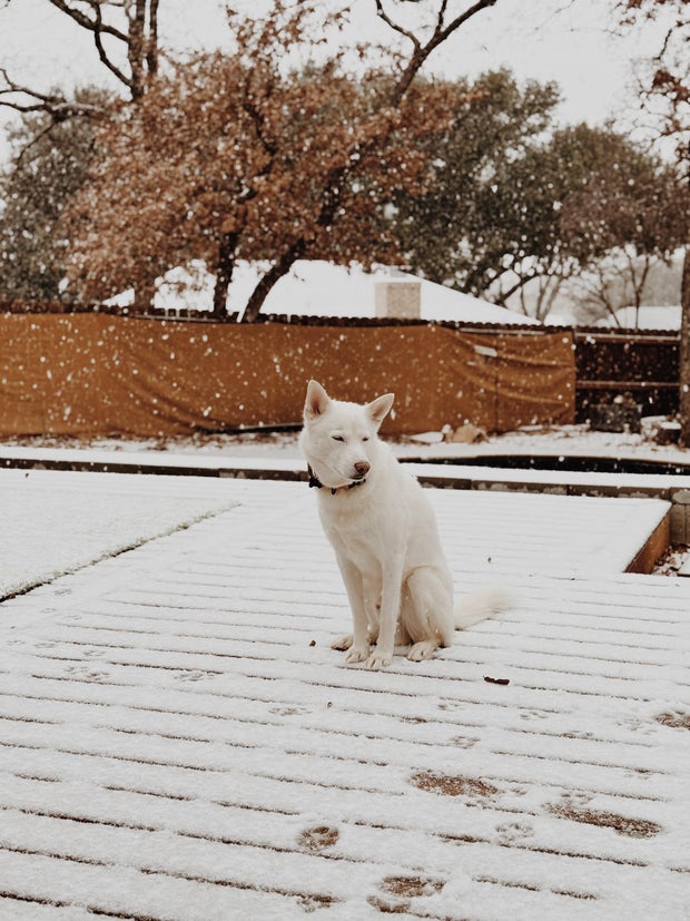 snow-day-in-north-texas-105.jpg