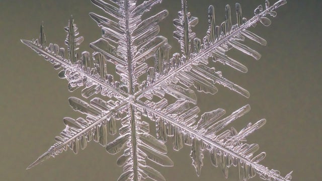snowflakegetty.jpg