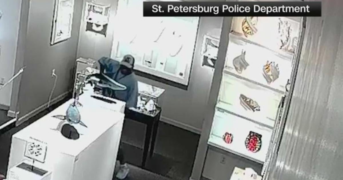 St. Petersburg Detectives Seek Art Thief