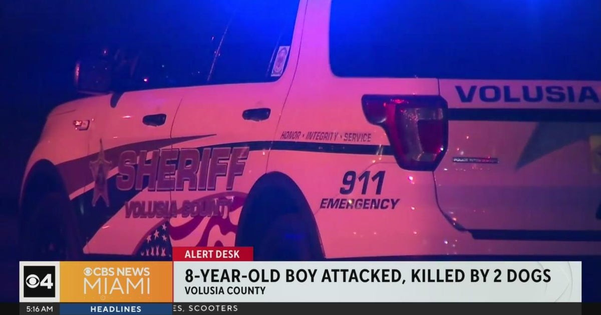 Boy, 8, attacked and killed by 2 dogs in Central Florida - CBS Miami