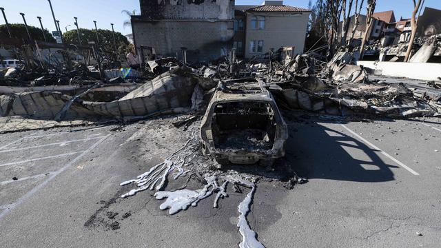 Damage after Palisade Fire in Pacific Palisades, California 