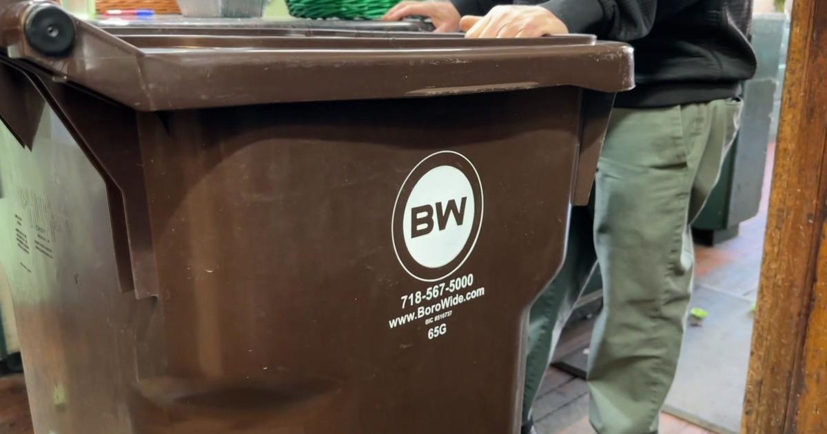 NYC's Massive Commercial Waste Overhaul: Queens is First!