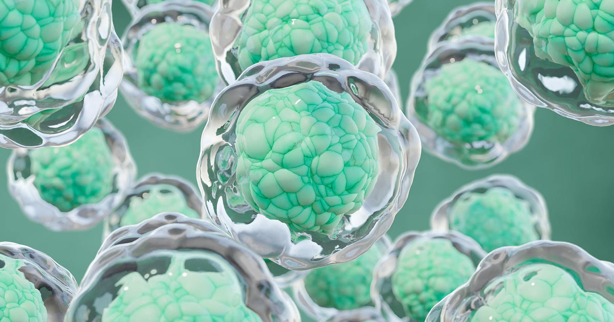Turning Hope into Reality: Unlocking the Potential of Blood and Cells