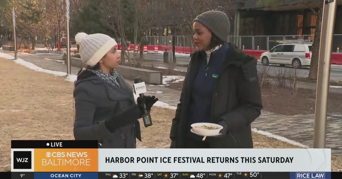 The Harbor Point Winter Festival, a fun-filled event for the family ...