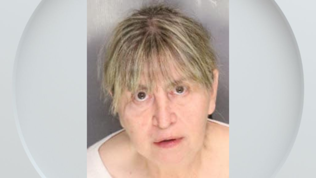 jan-johnson-mugshot-sj-sheriff.png 