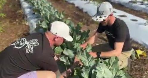 South Florida chef takes passion for food up a notch with organic farm South Florida chef takes passion for food up a notch with organic farm