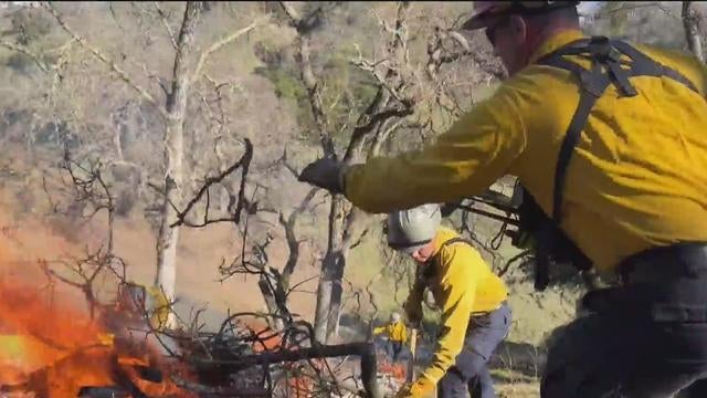 Walnut Creek controlled burn 