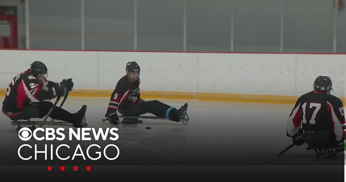 Check out Sled hockey at Lake Forest College
