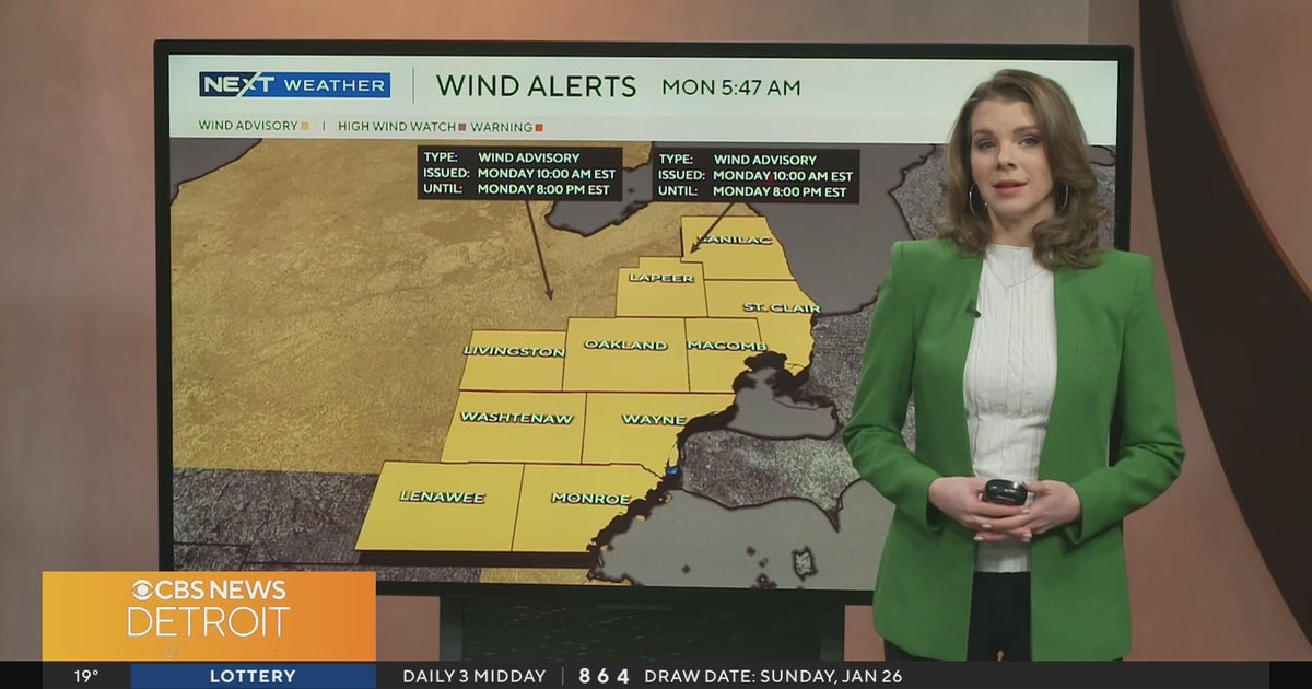 Wind Advisory in Effect for Today - CBS Detroit