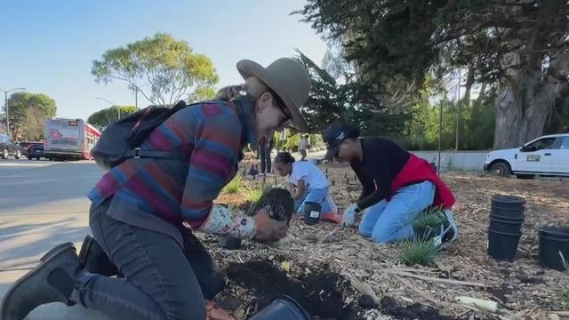 San Francisco Volunteer Program 