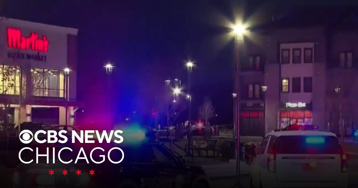 3 dead, 2 police officers shot at grocery store in Northern Indiana ...