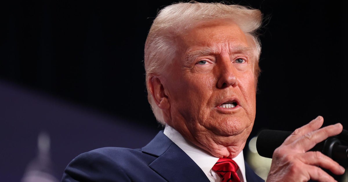 What are the costs of Trump's immigration crackdown?