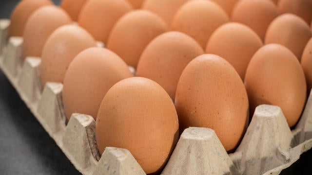 Brown cage-free chicken eggs 