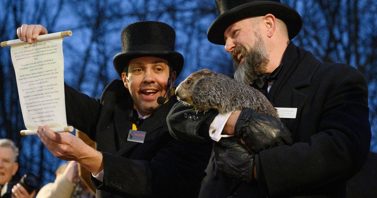 Punxsutawney Phil sees his shadow, predicts more winter Punxsutawney Phil sees his shadow, predicts more winter