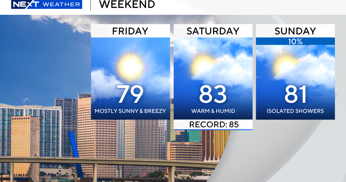 Mostly sunny and breezy last day of January in South Florida, warmer over weekend Mostly sunny and breezy last day of January in South Florida, warmer over weekend