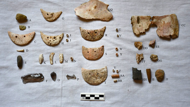 urn-cambridge-org-id-binary-20250122184602569-0094-s1045663524000208-s1045663524000208-fig4.png 