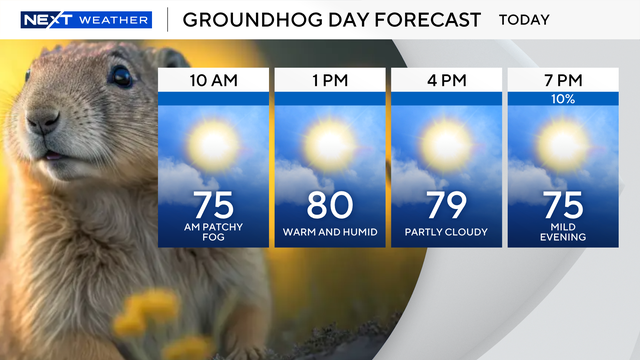 groundhog-day-forecast-0202.png