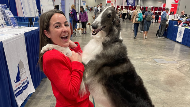 Michigan therapy dog traveling to California to help wildfire victims 