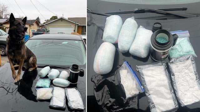 Sonoma County drug bust 