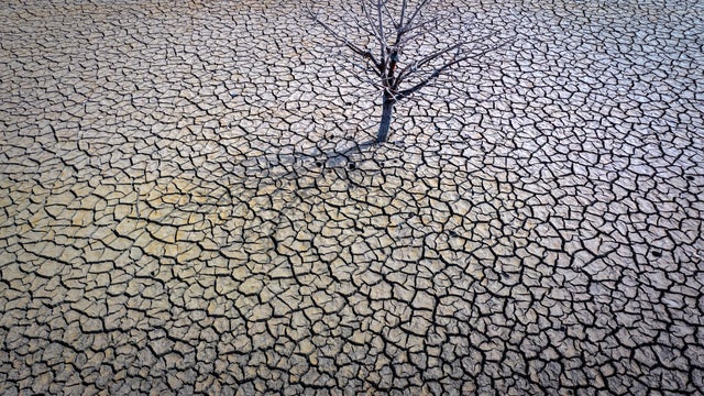 January 2025 was hottest January on record despite factors thought to make that less likely