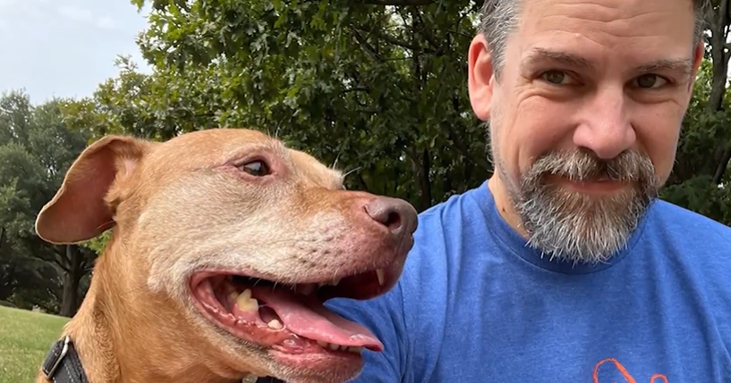 Texas A&M study aims to help dogs live longer – and possibly humans too Texas A&M study aims to help dogs live longer – and possibly humans too