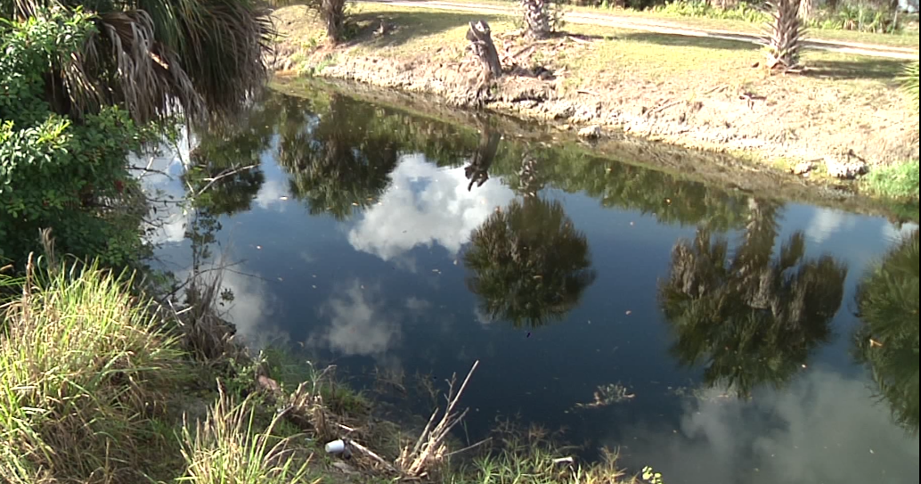 Man in critical condition after almost drowning in Lauderhill canal Man in critical condition after almost drowning in Lauderhill canal