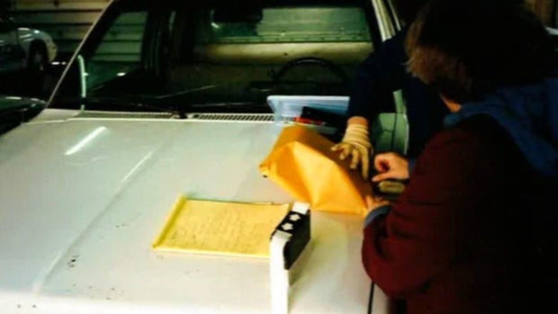 Danni Houchins evidence